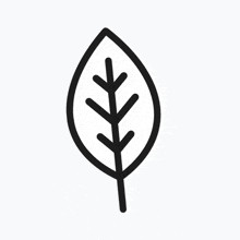 a line drawing of a leaf in the shape of a flower on a white background