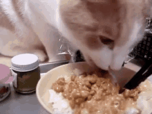 納豆　なっとい　発酵食品　混ぜる　朝ごはん 猫 GIF - Natto Cat Japanese Breakfast GIFs