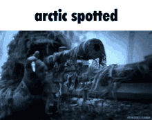 Arctic Spotted Arctic GIF - Arctic Spotted Arctic GIFs