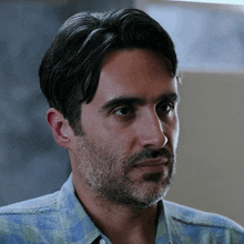 a man with a beard wearing a blue and white plaid shirt