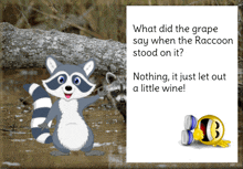 Funny Jokes GIF - Funny Jokes Raccoon GIFs