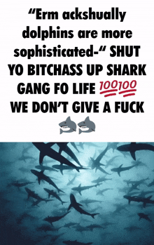 Shark-gang-anti-dolphin Shark Gang GIF - Shark-gang-anti-dolphin Shark Gang GIFs