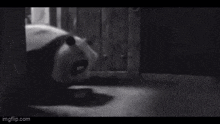 a black and white photo of a panda bear laying on the floor .