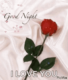 good night rose glitter i love you