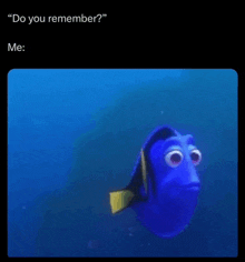 Dory Just Keep Swimming GIF