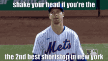 degrom shortstop mets 10ppg pepegacrab