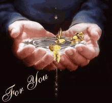Magic Rose For You GIF - Magic Rose For You Water GIFs