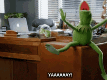 Kermit Kermit The Frog GIF - Kermit Kermit The Frog Excited GIFs