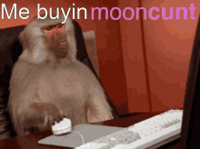 Mooncunt Meme Mooncunt GIF - Mooncunt Meme Mooncunt Mooncunt Memes GIFs