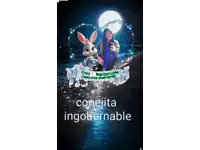 a picture of a girl and a bunny with the words conejita ingobernable below them