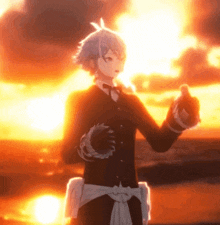 a person standing in front of a sunset with a bottle in their hand