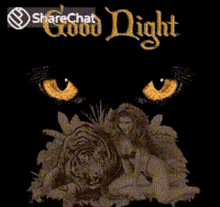 Good Night Night GIF - Good Night Night Black Panther GIFs