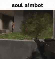 aimbot soul