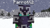a minecraft character with the name parrotm2 on the top of his head