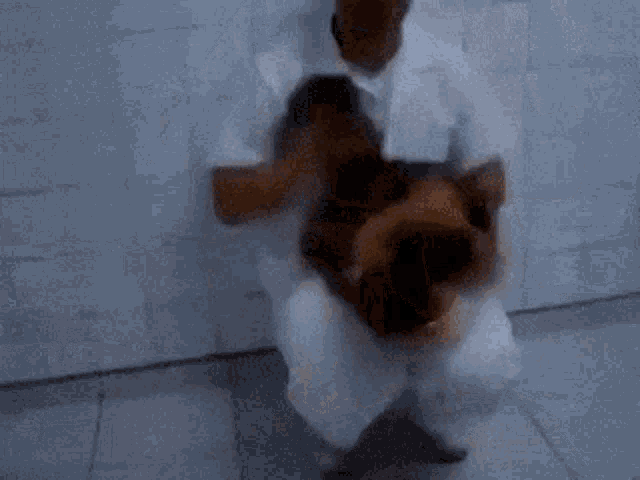 Cat Massage GIF - Cat Massage Funny - Discover & Share GIFs