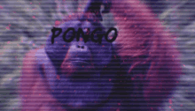 Light Of Pongo Way Of Pongo GIF - Light Of Pongo Way Of Pongo Pongo GIFs
