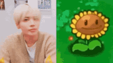 Taehyun Sunflower Pvz GIF - Taehyun Sunflower Pvz Taebinnist GIFs