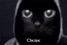 a black cat with white eyes is wearing a hoodie and says okak .