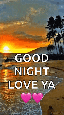 a picture of a beach with the words `` good night love ya ''