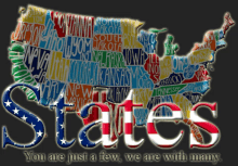 States America GIF