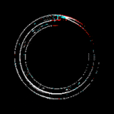 Circle Nukehype GIF - Circle Nukehype Glitch GIFs