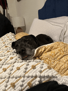 a dog is laying on a bed with a yellow and white blanket