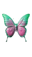 a pink and green butterfly is against a white backdrop