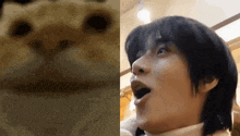 a close up of a cat 's face next to a close up of a person 's face with their mouth open .