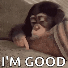 a chimpanzee is laying on a bed and pointing at the camera while saying `` i 'm good '' .