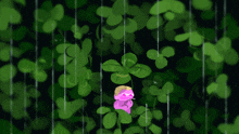 a pink flower is surrounded by green leaves in a dark forest