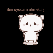 a cartoon cat is laying on its back with the words ben uyucam ahmetcis below it
