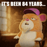 a stuffed animal is wearing a purple hat that says pnd