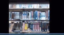 a library shelf full of books including one that says ' a dictionary ' on it