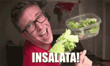 Insalata Tyler Oakley Buon Appetito Dieta Sano Vegetariano Vegano Buffo Simpatico GIF - Salad Youtuber Have A Nice Meal GIFs