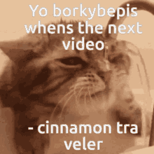 Borky Borkybepis GIF - Borky Borkybepis Catsoda GIFs