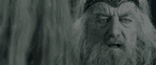 The Oden Lotr GIF - The Oden Lotr Lords Of The Ring GIFs