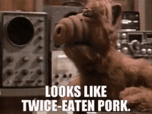 Alf Looks Like Twice Eaten Pork GIF - Alf Looks Like Twice Eaten Pork Pork GIFs