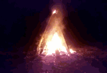 Bonfire Flames GIF - Bonfire Flames Fires GIFs