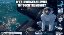 Why Lumi Isnt Allowed To Touch The Monkey Monkey GIF - Why Lumi Isnt Allowed To Touch The Monkey Monkey Twitch GIFs