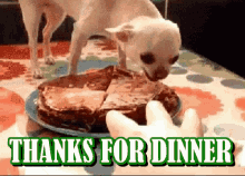 Thanks For Dinner Thank You For Dinner GIF - Thanks For Dinner Thank You For Dinner GIFs