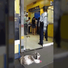 Guard Dog Doratzu GIF