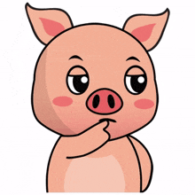animal pig piggy cute thinking