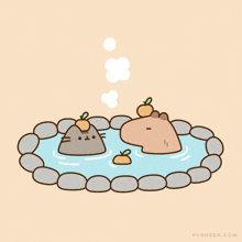 Pusheen Hot Spring GIF - Pusheen Hot Spring Capybara GIFs