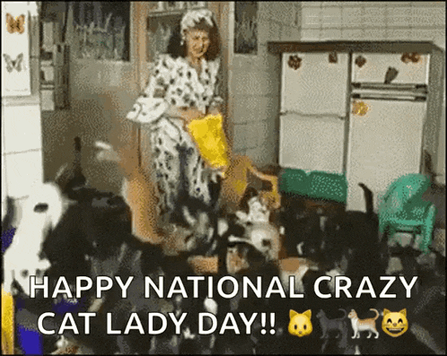 crazy cat lady gif