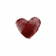 a fingerprint in the shape of a heart on a white background .