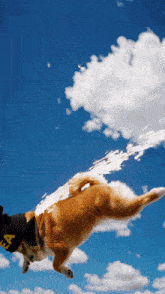 a dog is jumping in the air with a cloud coming out of its mouth