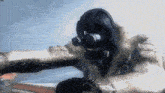 a man wearing a gas mask and headphones is standing in the snow
