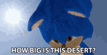 How Big Is This Desert Sonic GIF - How Big Is This Desert Sonic Desert GIFs