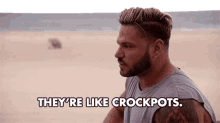 Theyre Like Crockpots They Are Like Crockpots GIF - Theyre Like Crockpots Crockpots They Are Like Crockpots GIFs
