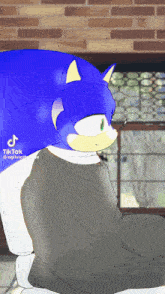 Sonic Hedghup GIF - Sonic Hedghup Hedgeup GIFs